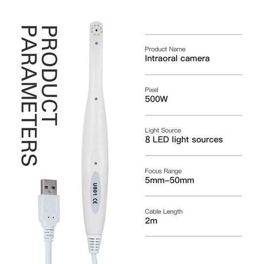 Dental Intraoral Camara Endoscope Waterproof Oral Inspection For Computer USB / TV /AV 8 Pcs Light LEDs