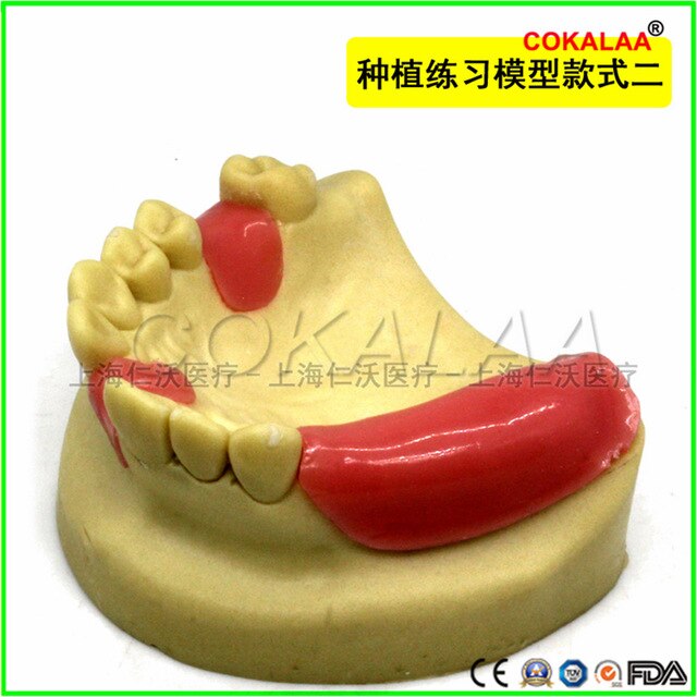 Suturing Training Models - Implants, sinus - Oral surgery