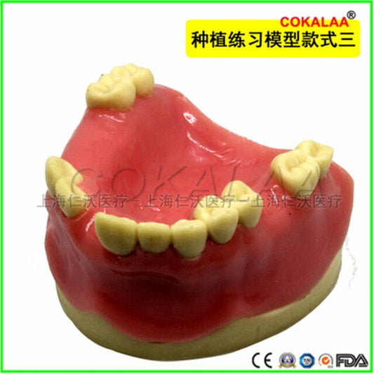 Suturing Training Models - Implants, sinus - Oral surgery