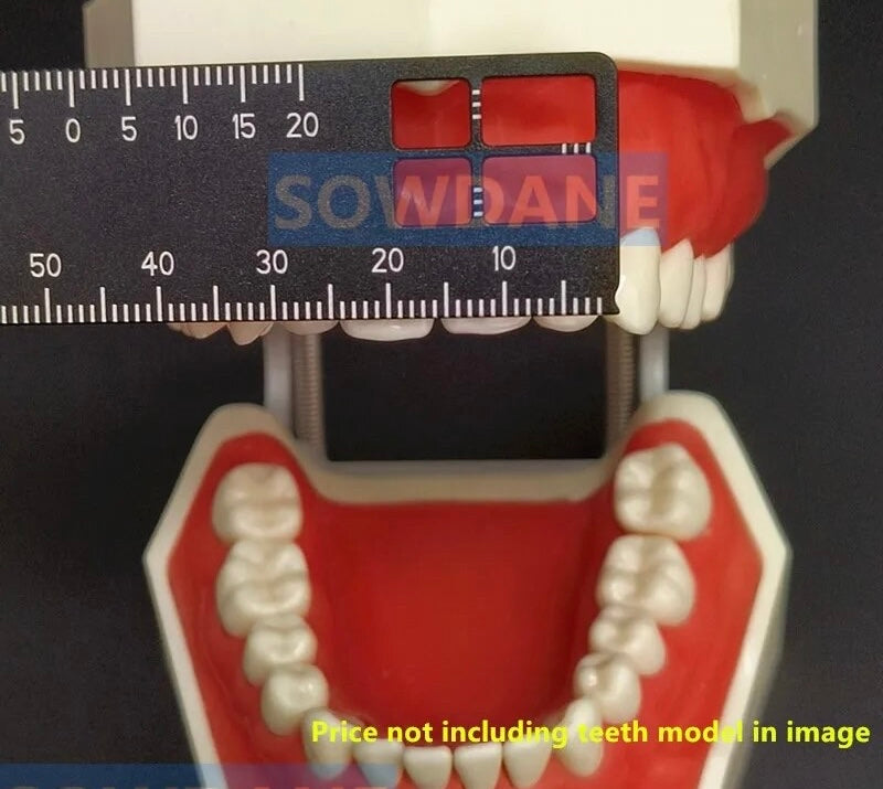 Dental Precision Ruler – iDentalShop