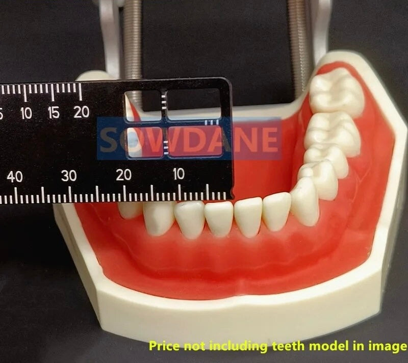 Dental Precision Ruler