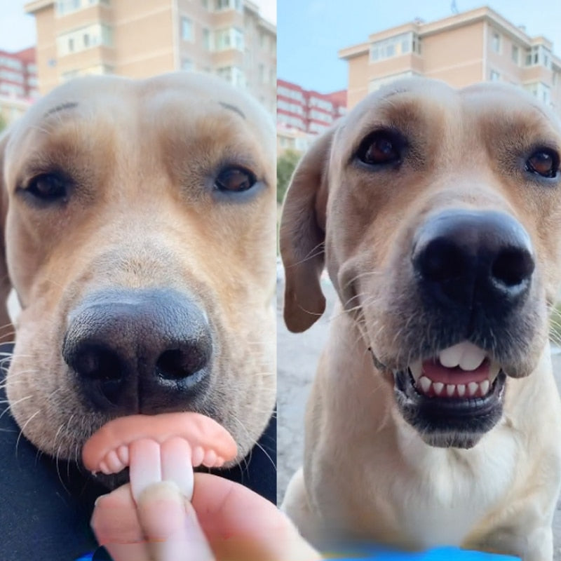 Teeth props for pets and babies