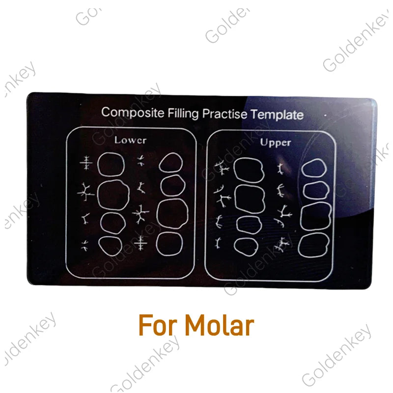 Dental Practice board and models