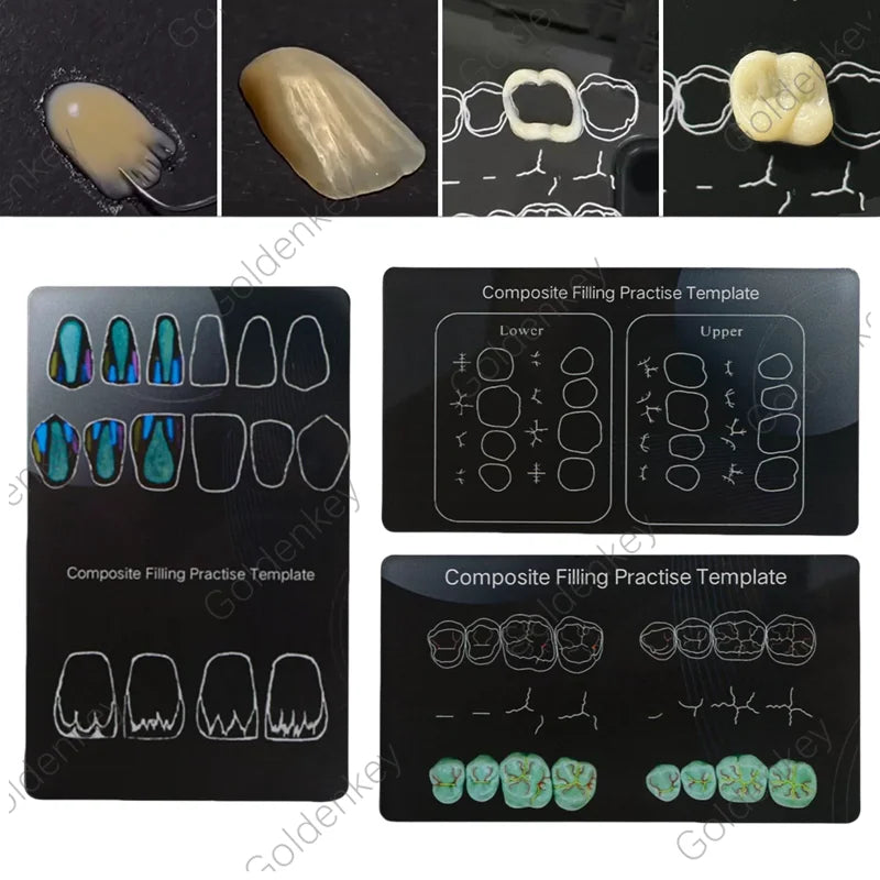 Dental Practice board and models