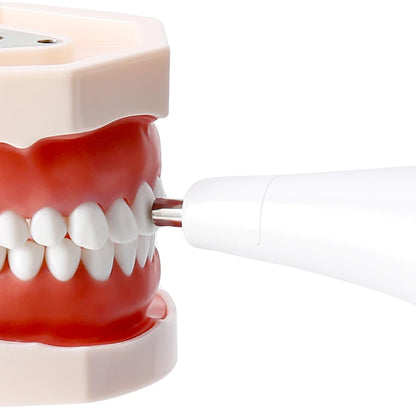 Digital Dental Shade Guide — High-Accuracy Teeth Color Comparator with LCD Display