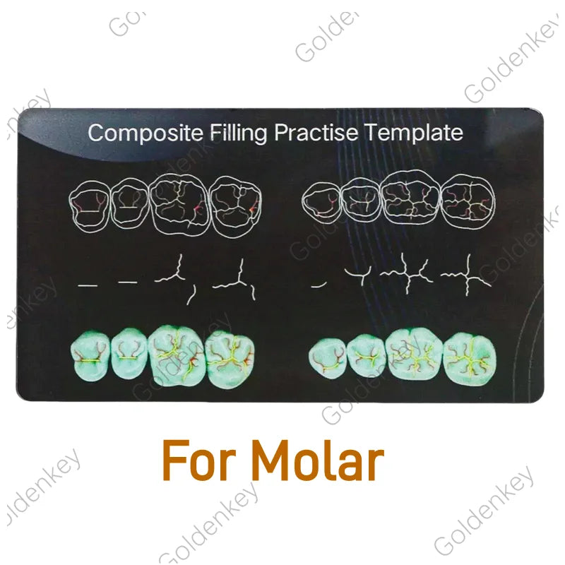 Dental Practice board and models