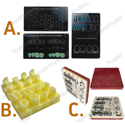 Dental Practice board and models