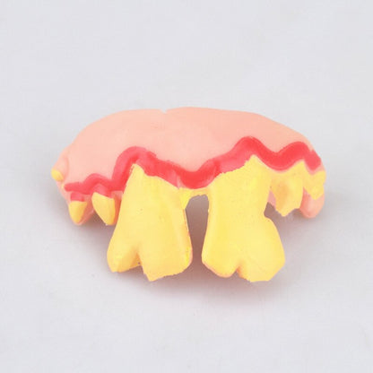 Teeth props for pets and babies