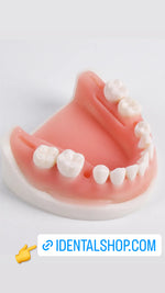 Premium Dental Suturing Kit