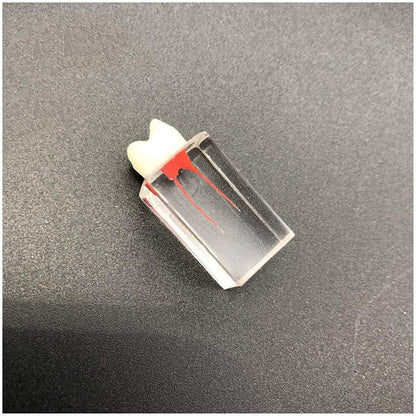 Endo Training Block / Tooth Root Canal Model For RCT Practice