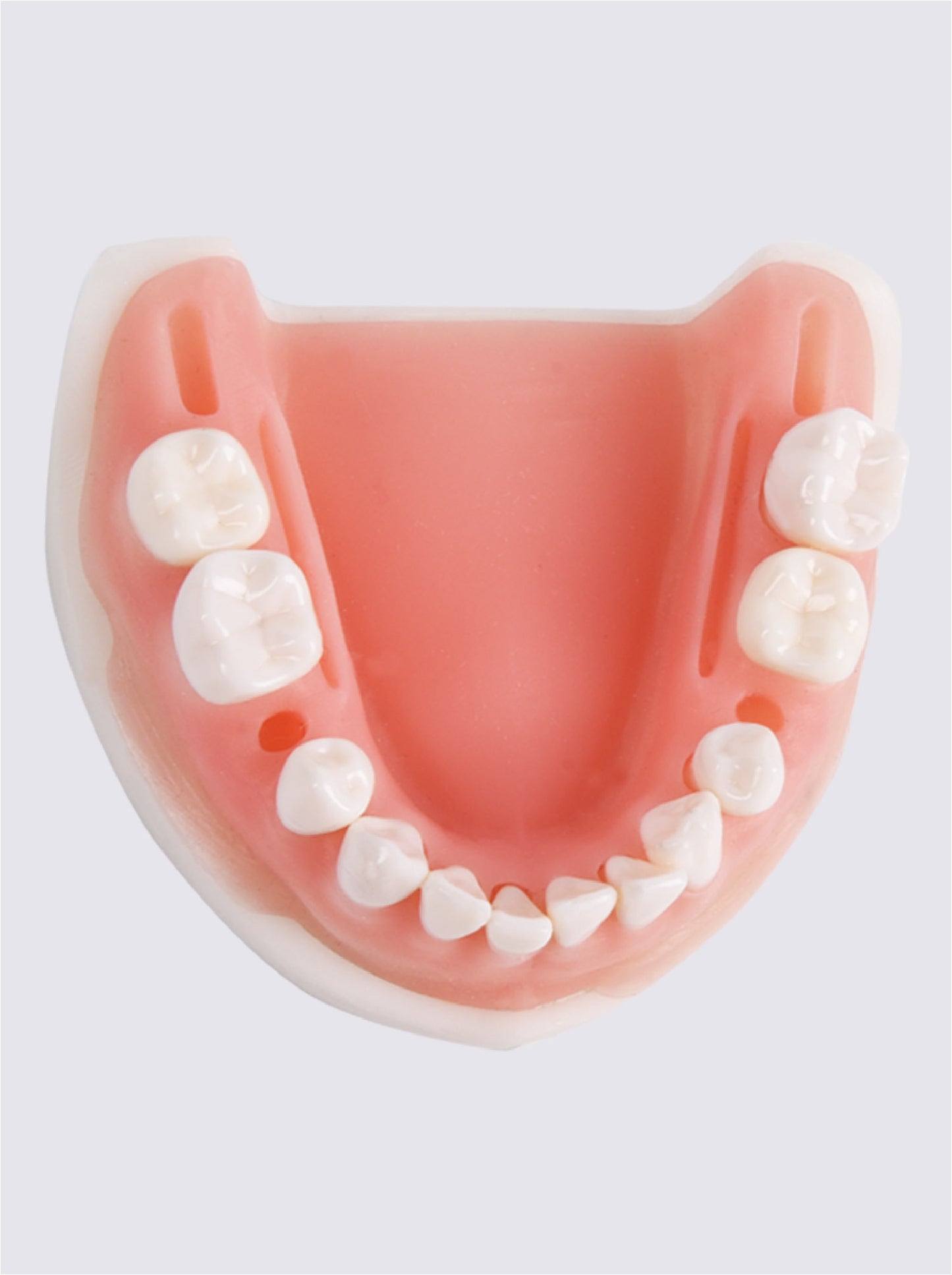 Suturing Model With Removable Teeth