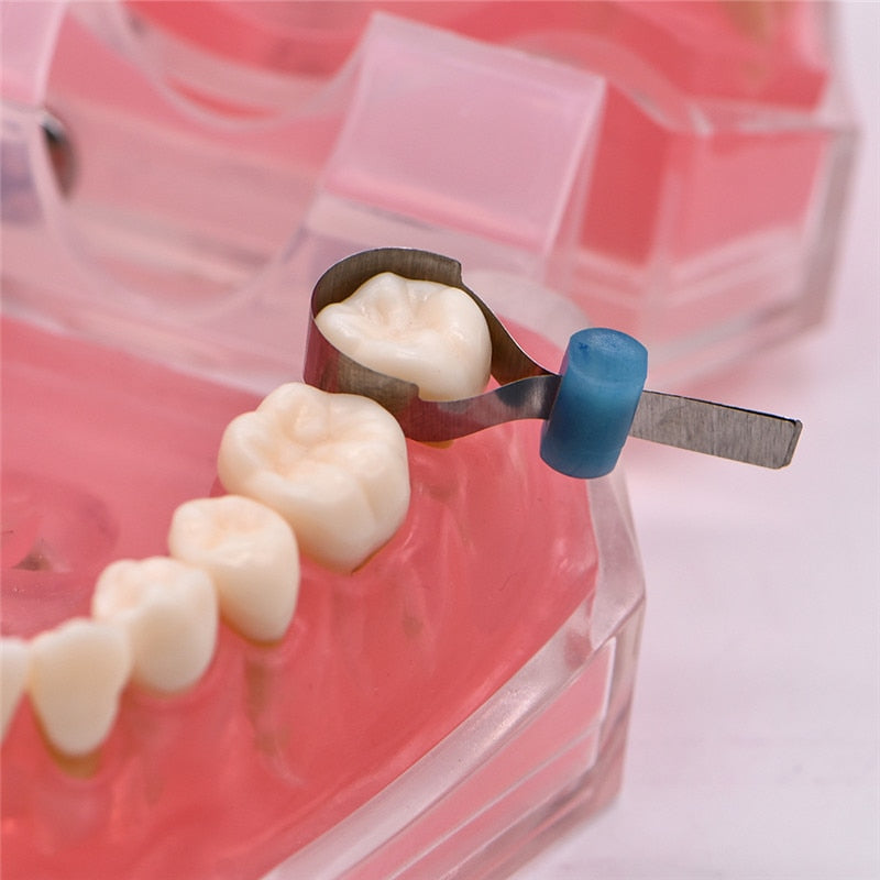 32pcs Universal Supermat matrix – iDentalShop