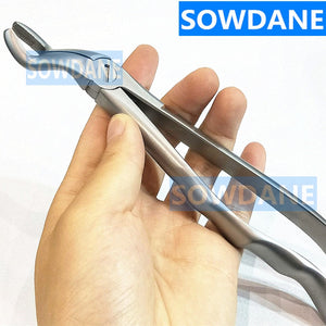 Extraction Forceps For Upper Wisdom Teeth