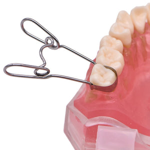 Sectional Dental Matrix With Springclip